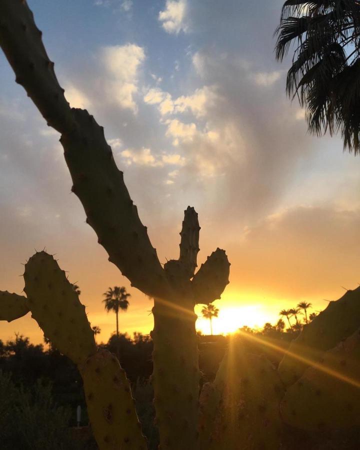 Riad Elli Marrakech Marakeş Dış mekan fotoğraf