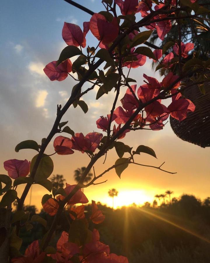 Riad Elli Marrakech Marakeş Dış mekan fotoğraf