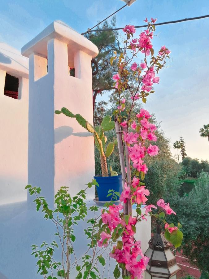 Riad Elli Marrakech Marakeş Dış mekan fotoğraf
