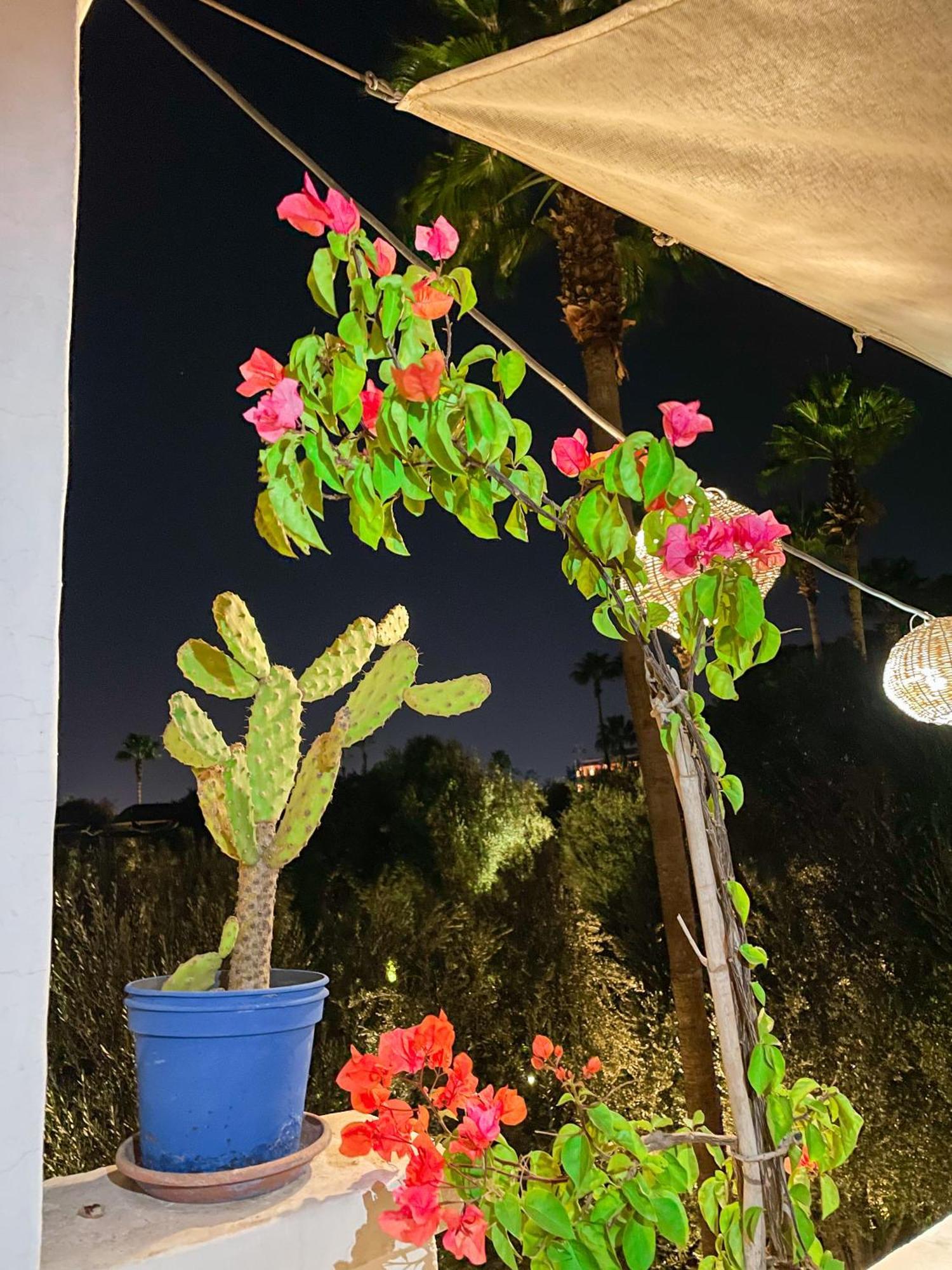 Riad Elli Marrakech Marakeş Dış mekan fotoğraf
