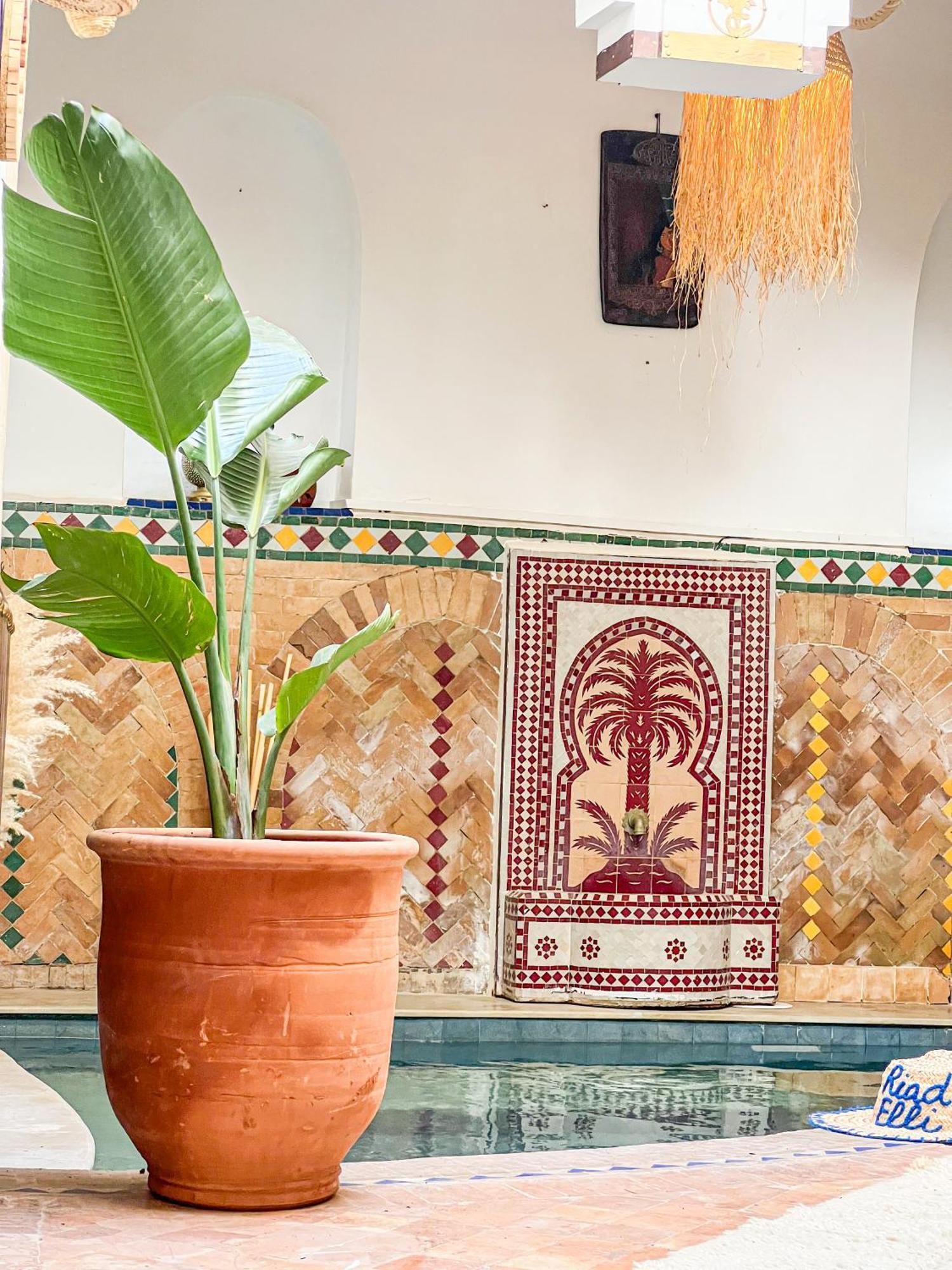 Riad Elli Marrakech Marakeş Dış mekan fotoğraf